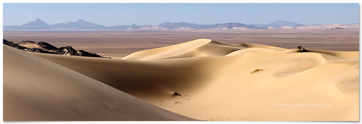 Les dunes de l'erg Tihodaine en Algérie
