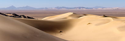Les dunes de l'erg Tihodaine (Sahara algérien)