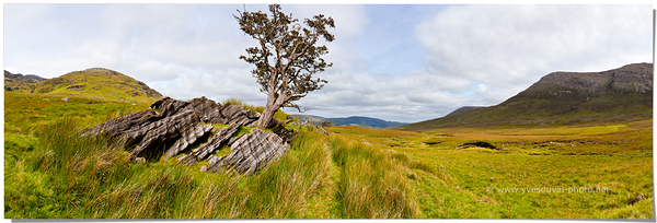Photo 272000