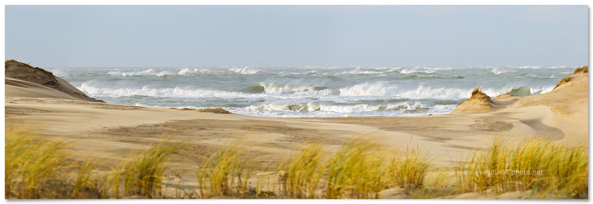 Coup de vent sur la Pointe de la Coubre  (Charente-Maritime, Nouvelle-Aquitaine)