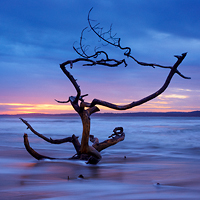 Lever de soleil sur l'île d'Oléron (Charente-Maritime, Nouvelle-Aquitaine)