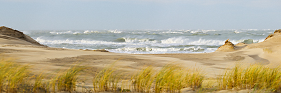 Coup de vent sur la Pointe de la Coubre (Charente-Maritime, Nouvelle-Aquitaine)