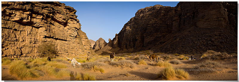 Bivouac (Erg Tihodaine, Algérie)