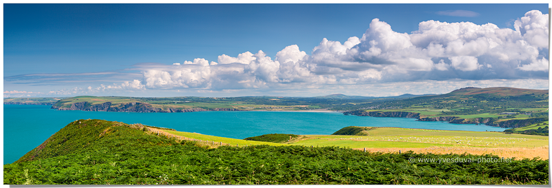 Ynys Dinas (Pays de Galles, Royaume-Uni)