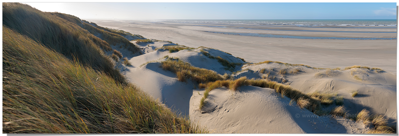 Le Marquenterre (Somme, Hauts-de-France)