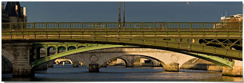Les ponts de Paris (Paris, Ile-de-France)