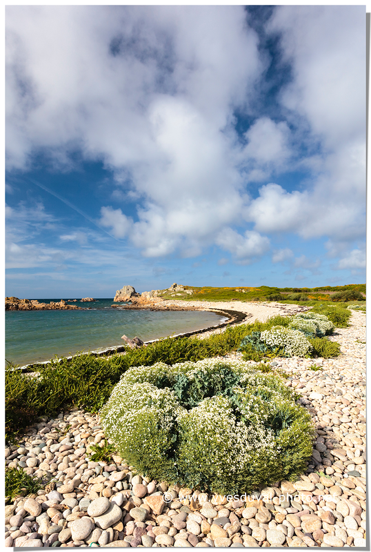 L'île de Bréhat (Côtes d'Armor, Bretagne)