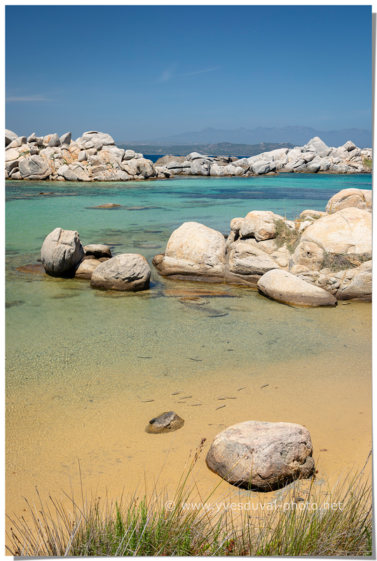 Côte de l'île Lavezzu (Corse-du-Sud, Corse)