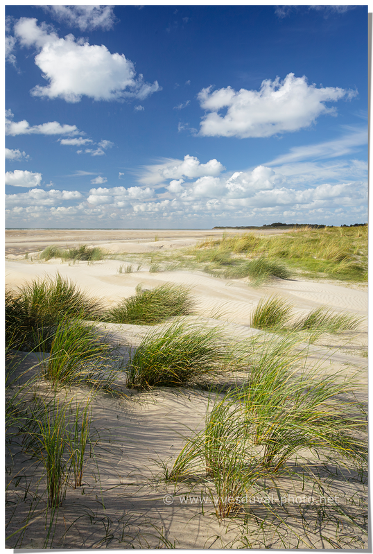 Les dunes de Bréhal (Manche, Normandie)