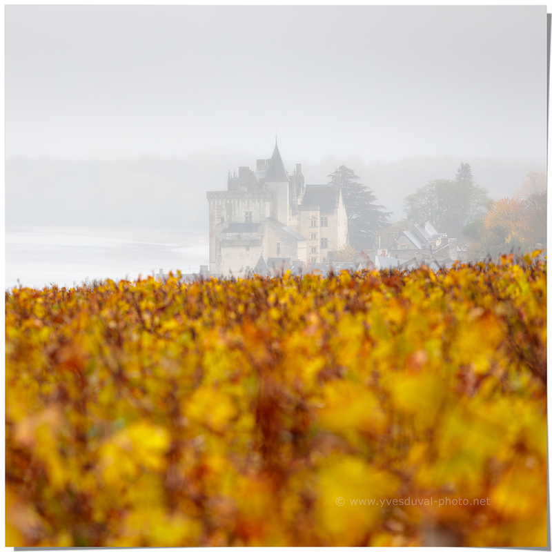 Le village de Montsoreau (Maine et Loire, Pays de la Loire)