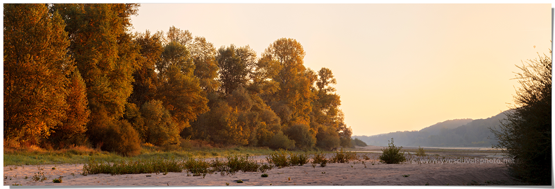 Ïles de Loire. (Loir et Cher, Centre