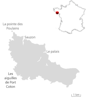 Carte de Belle-Île-en-Mer